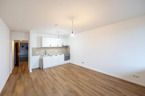 Foto - Saniertes Appartement mit Rheinblick