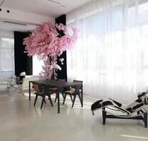 Studio Membership für Fotografen & Content Creator - Köln Rodenkirchen