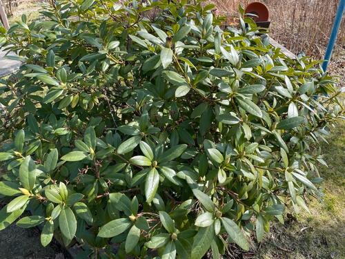 Foto - Grundst&uuml;ck in Cottbus