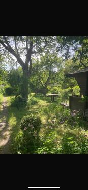 Foto - Schöner Schrebergarten in Kiel Wik abzugeben