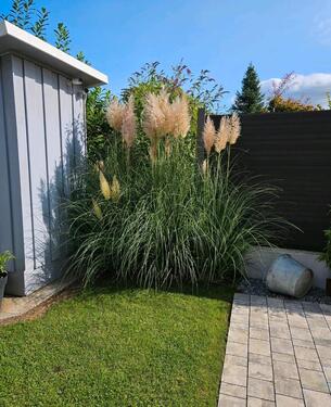 Foto - Traumhaus in Volkertshausen - 730.000,00&nbsp;EUR Kaufpreis, ca.&nbsp; 220,00&nbsp;m&sup2;