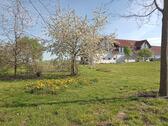 Foto - Etagenwohnung zur Miete in Milower Land