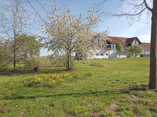 Foto - Etagenwohnung zur Miete in Milower Land