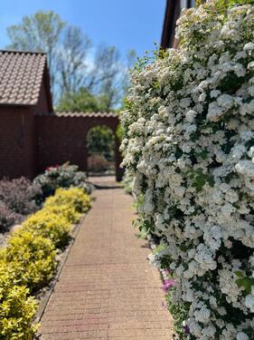 Foto - andere in Lenzen (Elbe)
