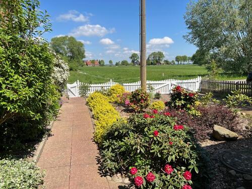 Foto - andere in Lenzen (Elbe) zur Miete