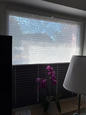 Foto - Etagenwohnung in Pattensen zur Miete