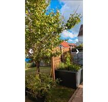 WG Zimmer Wohngemeinschaft Wohnung - Schweinfurt Gartenstadt