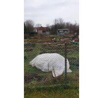 Garten in Northeim zu vermieten, ca. 400 m² - Göttingen Elliehausen / Esebeck