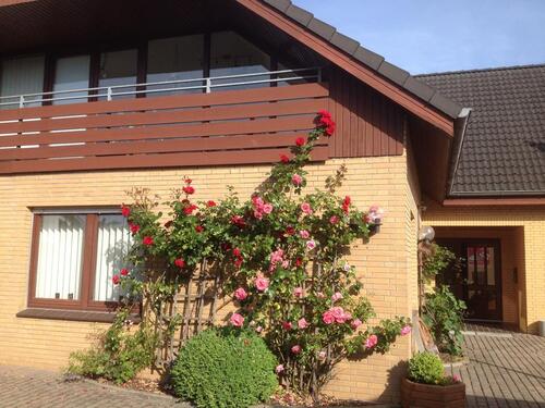 Foto - Etagenwohnung zur Miete in Stade