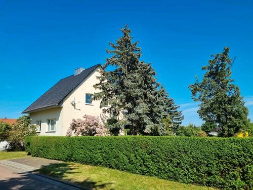 Foto - 3 Raum Wohnung in Schkortleben 06667