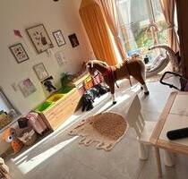 Neubau Erdgeschoss Wohnung - 1.331,00&nbsp;EUR Kaltmiete, ca.&nbsp; 82,00&nbsp;m&sup2; in Waldbröl (PLZ: 51545)