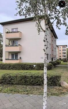 Foto - ZU VERMIETEN: 1 Zimmer-Whg. 