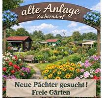 Schrebergarten - 400,00&nbsp;EUR Kaltmiete, ca.&nbsp; 0,00&nbsp;m&sup2; in Sandersdorf-Brehna (PLZ: 06792)