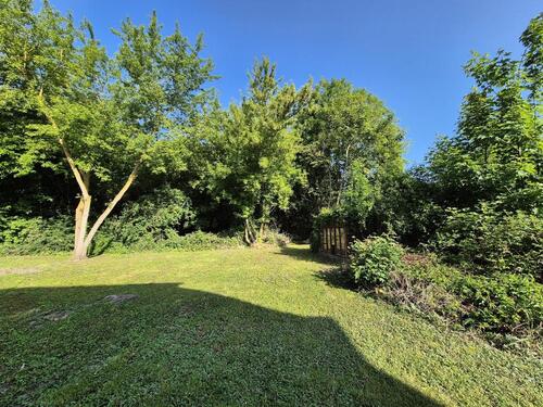 Foto - Grundstück in Wettin-Löbejün