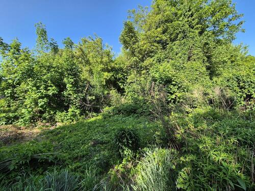 Foto - Grundstück in Wettin-Löbejün zur Miete