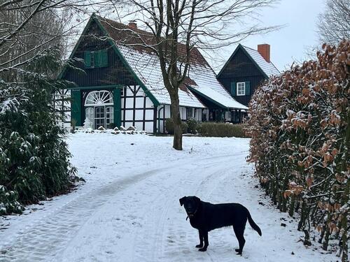 Foto - Traumhaftes Fachwerkanwesen in Westerkappeln von privat