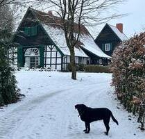 Traumhaftes Fachwerkanwesen in Westerkappeln von privat