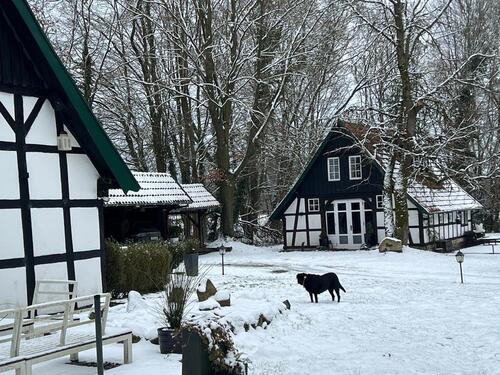 Foto - 8 Zimmer Einfamilienhaus zum Kaufen in Westerkappeln