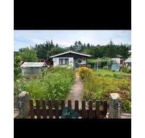 Kleingarten in Buttstädt Schafendorf