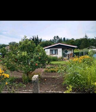 Foto - Grundst&uuml;ck zur Miete in Buttstädt