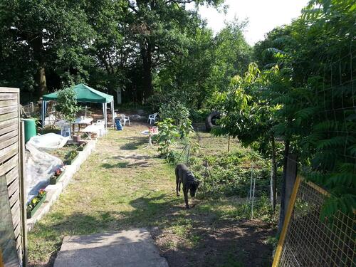 Foto - Wohnhaus bis zu 11 WE möglich Stadtmitte Gerwerbe - Kapitalanlage