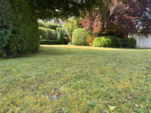 Foto - 7 Zimmer Villa zur Miete in Wehrheim