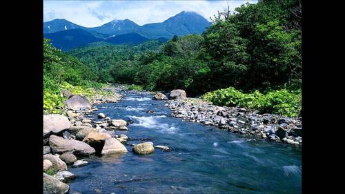 Foto - 20 Zimmer Einfamilienhaus in Berlin
