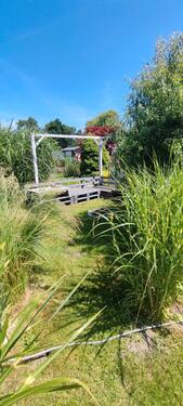 Foto - Grundst&uuml;ck in Delitzsch zur Miete