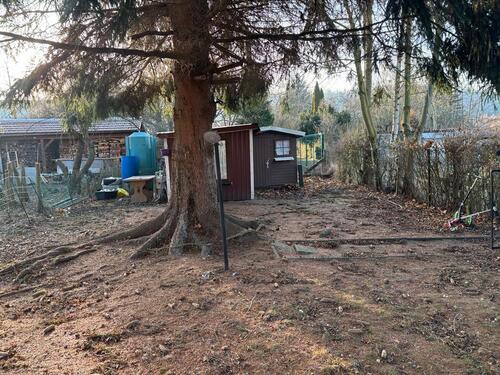 Foto - Pachtgarten 370qm - 750,00&nbsp;EUR Kaltmiete, ca.&nbsp; 0,00&nbsp;m&sup2;