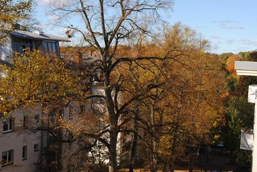 Foto - von Privat provisionsfrei 2 Zimmerwohnung Grunewald am Halensee