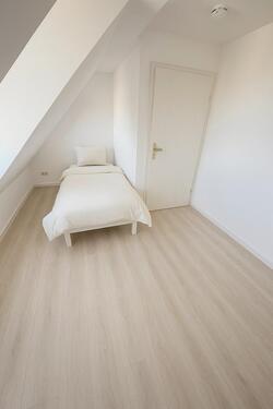 Foto - Etagenwohnung zur Miete in Dresden