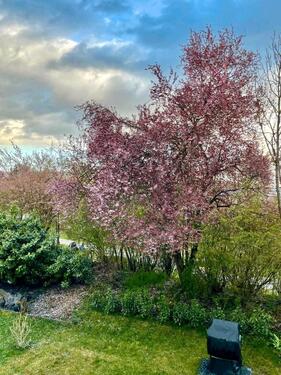 Foto - Etagenwohnung in Pleidelsheim zum Kaufen