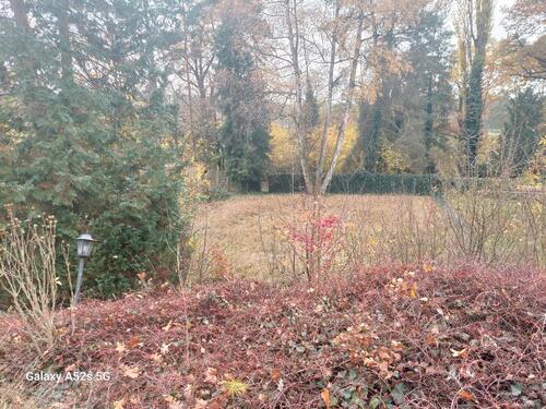 Foto - 400qm garten wochenendgrundstück traumlage gebersdorf hainberg