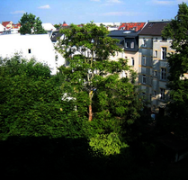 Studentenappartement auf dem Dach von Connewitz zu verkaufen - Leipzig Süd