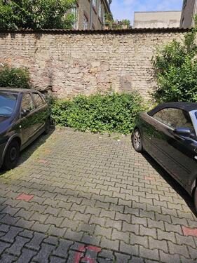 Foto - andere in Mannheim