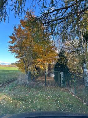 Foto - Grundst&uuml;ck in Döhlau zur Miete