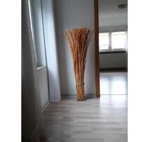 Kirn-Sulzbach kleine kompakte Wohnung zu vermieten