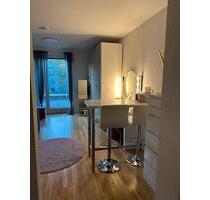 Helle 1-Zimmer-Wohnung mit wunderschöner Dachterrasse im Nordend - Frankfurt am Main Innenstadt 3