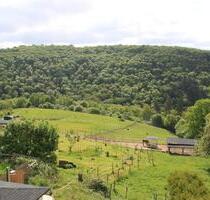 Sanierter Bauernhof zur Pferdehaltung mit knapp 9 Ha Weideland - Kirn