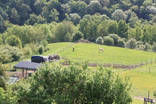 Foto - 7 Zimmer Einfamilienhaus zum Kaufen in Kirn