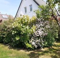 Solides EFH im begehrten Stadtteil Schwerin- Neumühle
