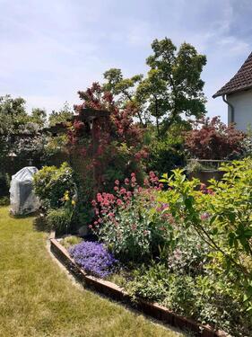 Foto - 4 Zimmer Einfamilienhaus in Schwerin