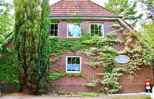 Foto - andere in Oldenburg