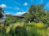 Foto - Garten, Pachtland, Gartensparte