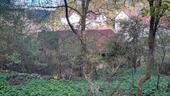Foto - Bauernhaus, Landhaus in Wellheim