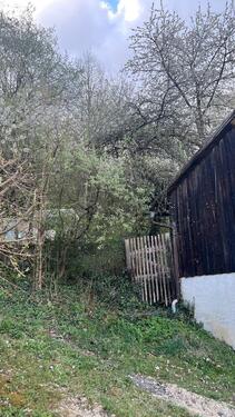 Foto - Bauernhaus, Landhaus in Wellheim zum Kaufen