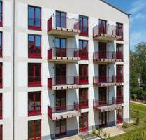 Neubau! 2-Raumwohnung im Erdgeschoß mit Terrasse! - Dresden Cotta