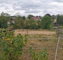 Pachtgarten abzugeben - 35,00 EUR Kaltmiete, ca.  0,00 m² in Rosenbach (PLZ: 08548) Syrau