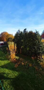 Foto - Sehr gepflegte 4-Zimmer Wohnung in toller Hausgemeinschaft zu vermieten