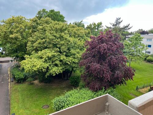 Foto - Eine 3 Zimmer Wohnung zentral und doch ruhig gelegen